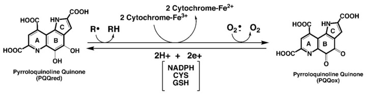 包含圖片、插圖等的外部文件。
對象名稱為 biomolecules-11-01441-g001.jpg