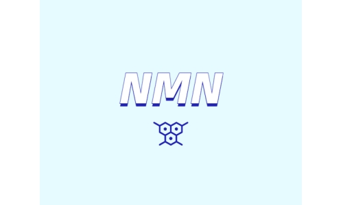 哪里可以買到 nmn？