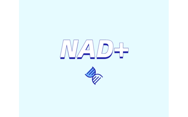 NAD與NMN的全新概念？